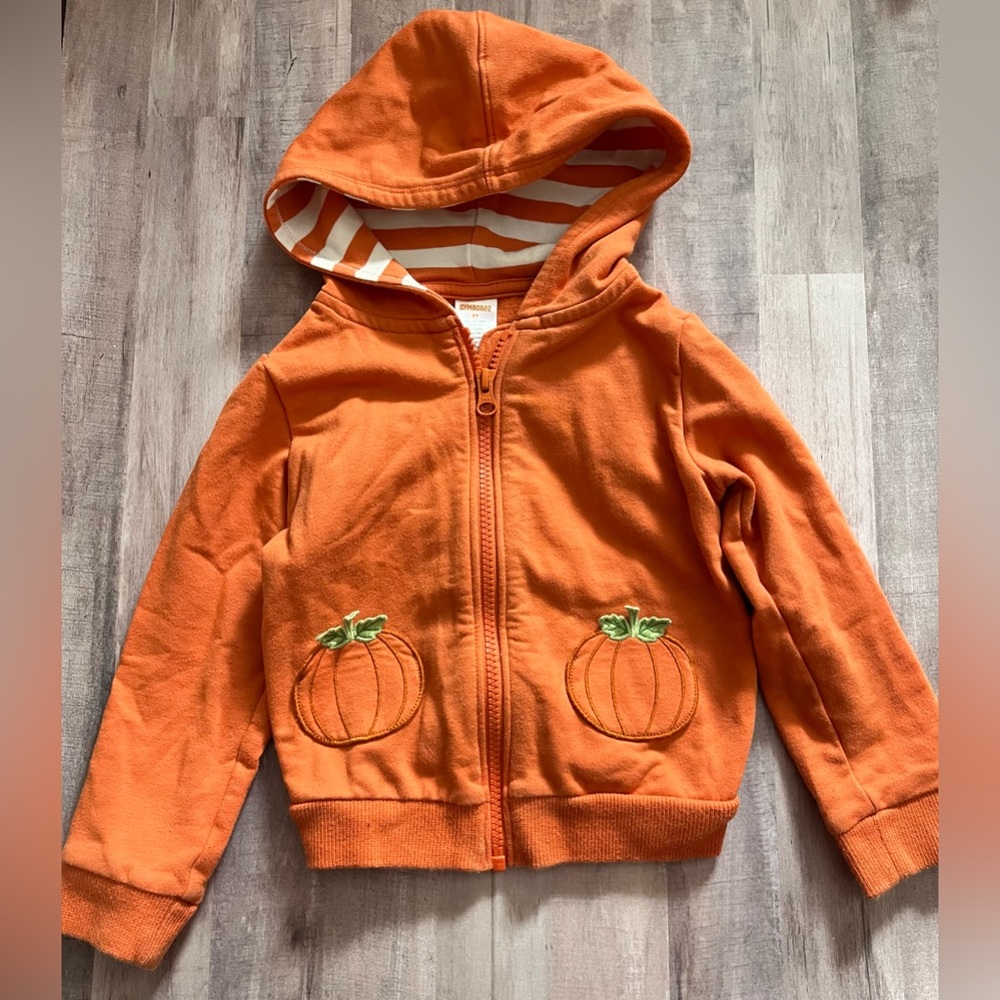 Gymboree Fall Pumpkin 🎃 Sweatshirt